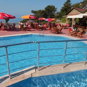 book here